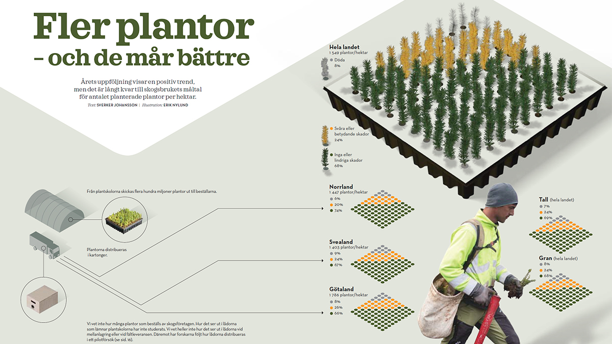 Infografik
