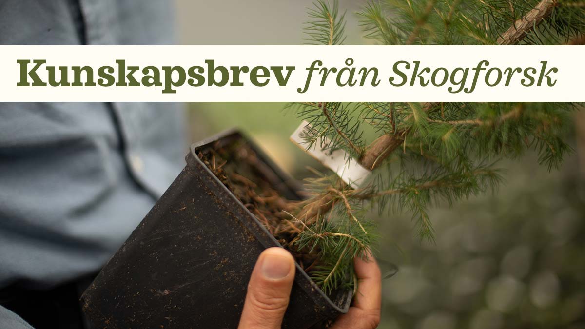 Toppbild: kunskapsbrev från Skogforsk