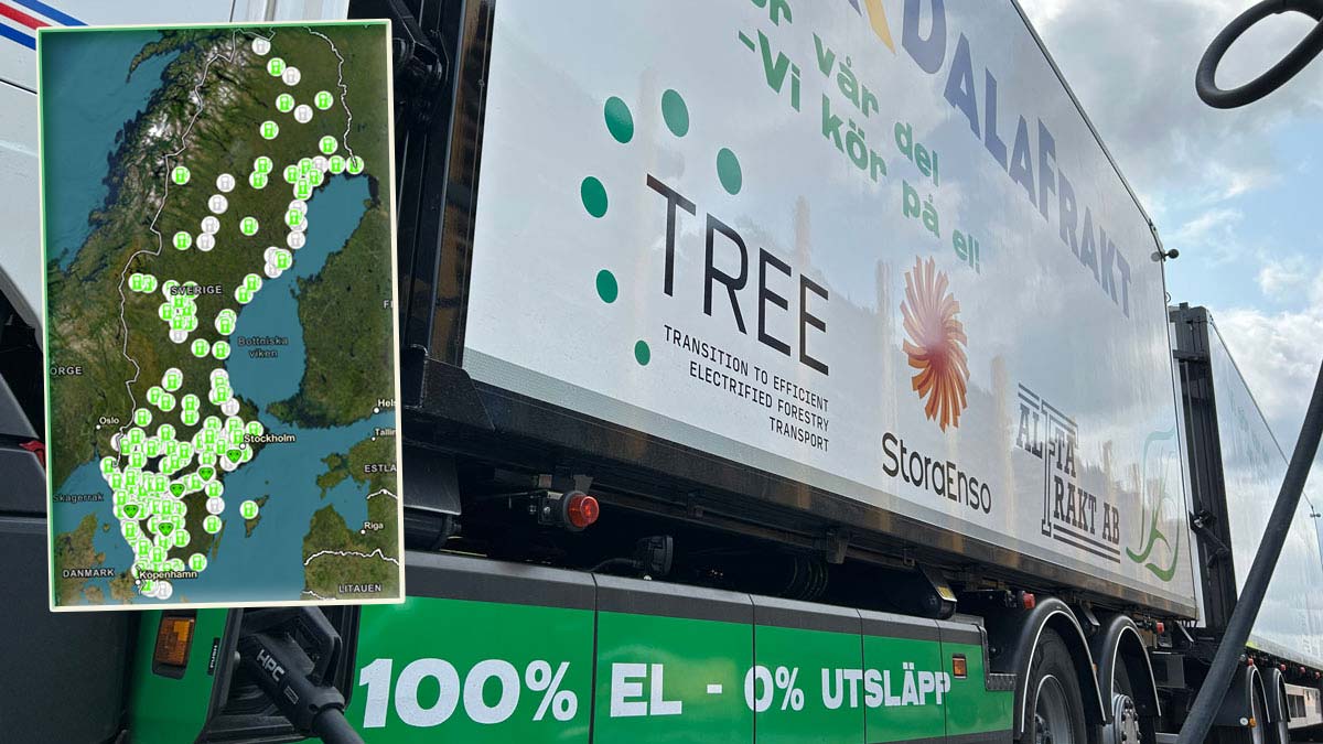 TREE. Foto: Skogforsk