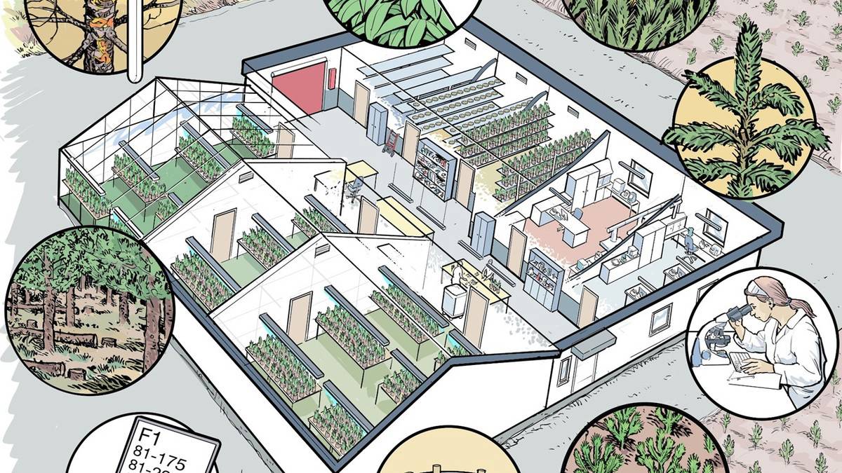 Nytt screeningscenter