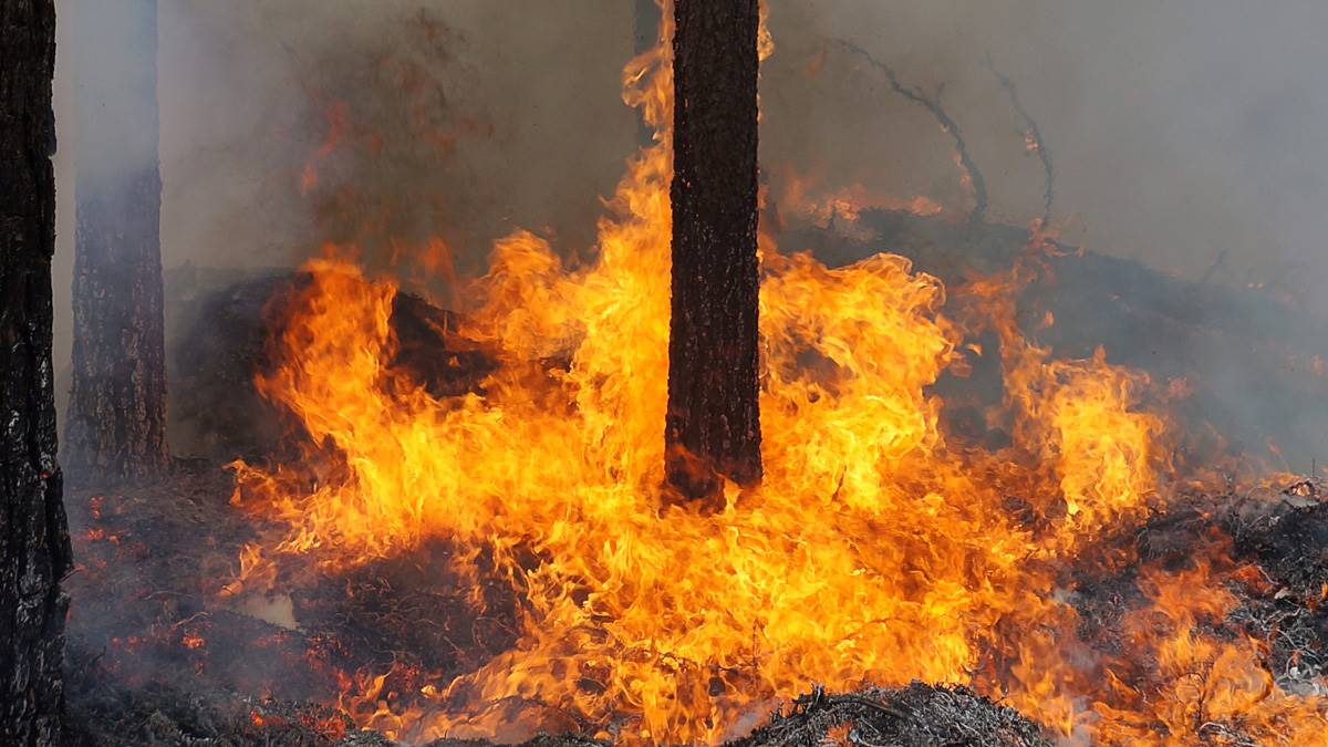 Bonfire