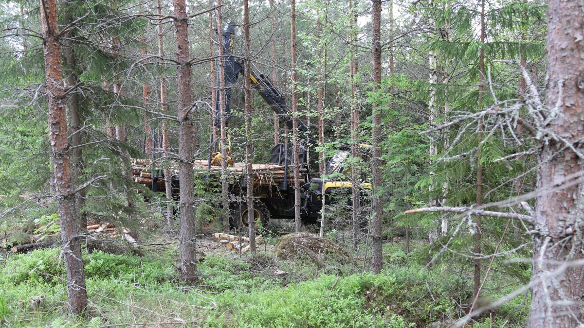 Skogforsk