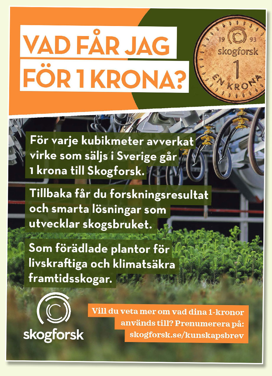 Advertisement