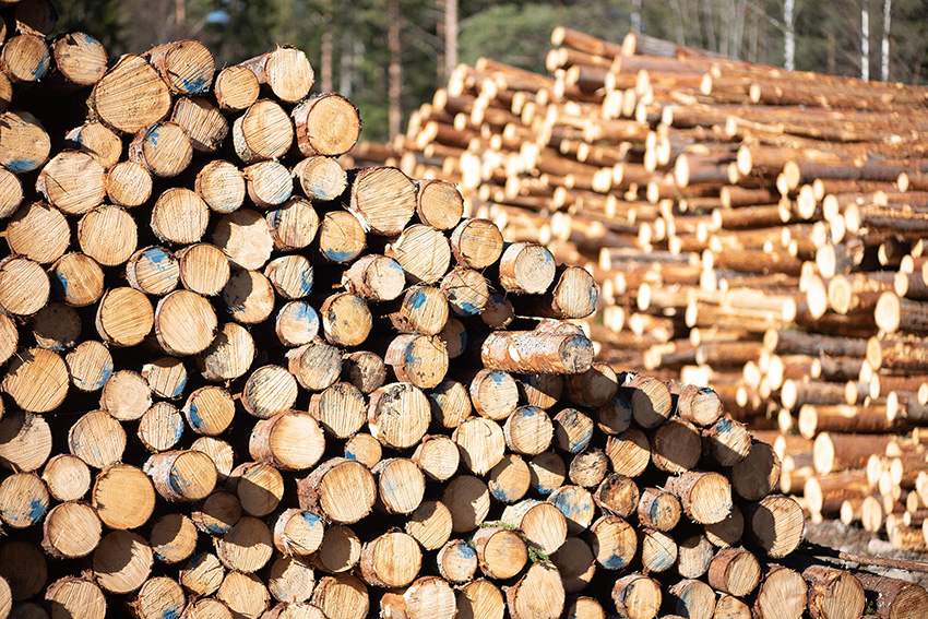 Lumber