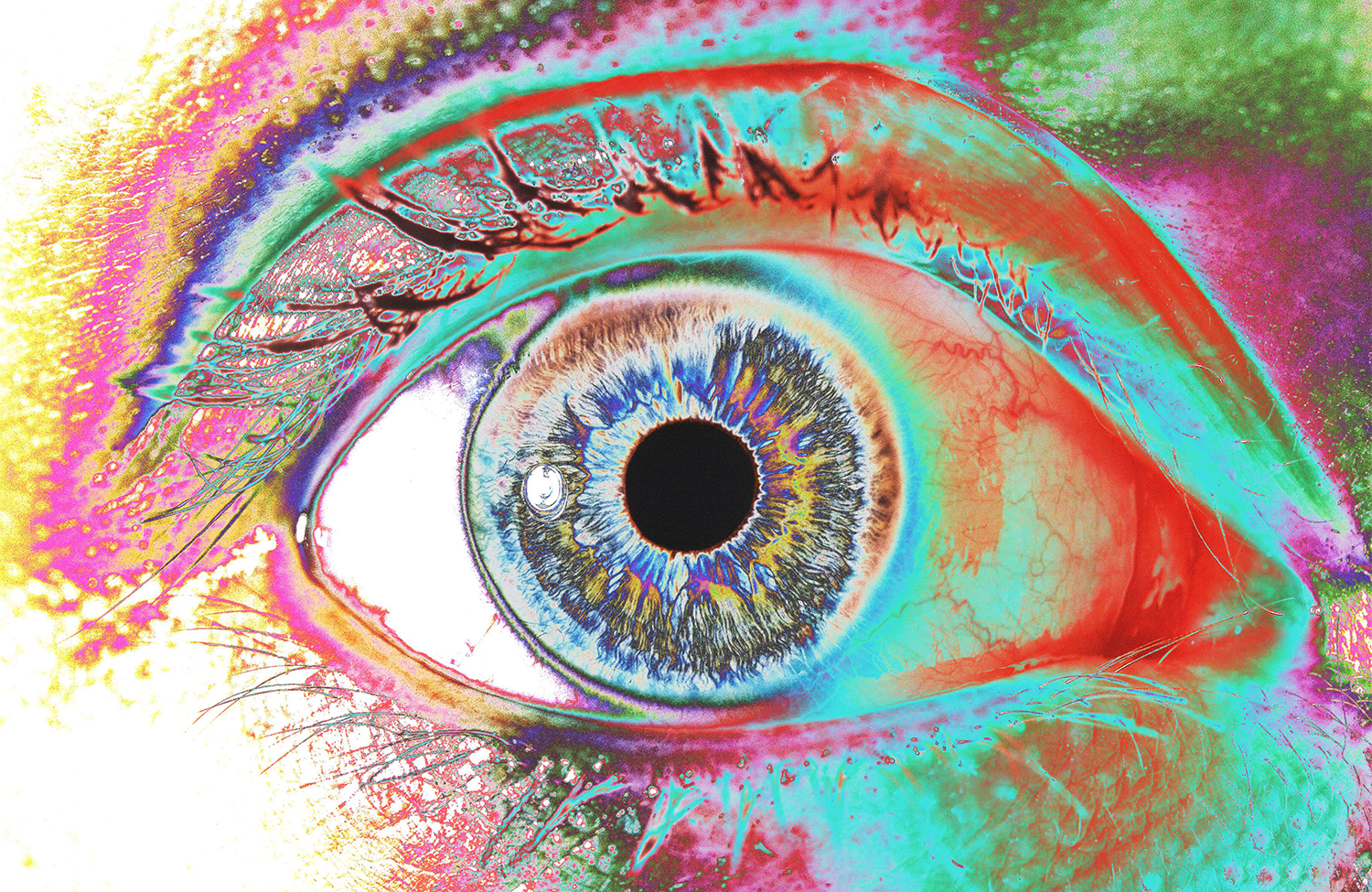 Human eye
