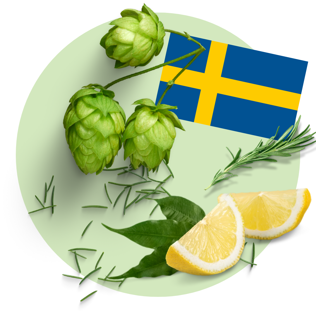 Svensk humle