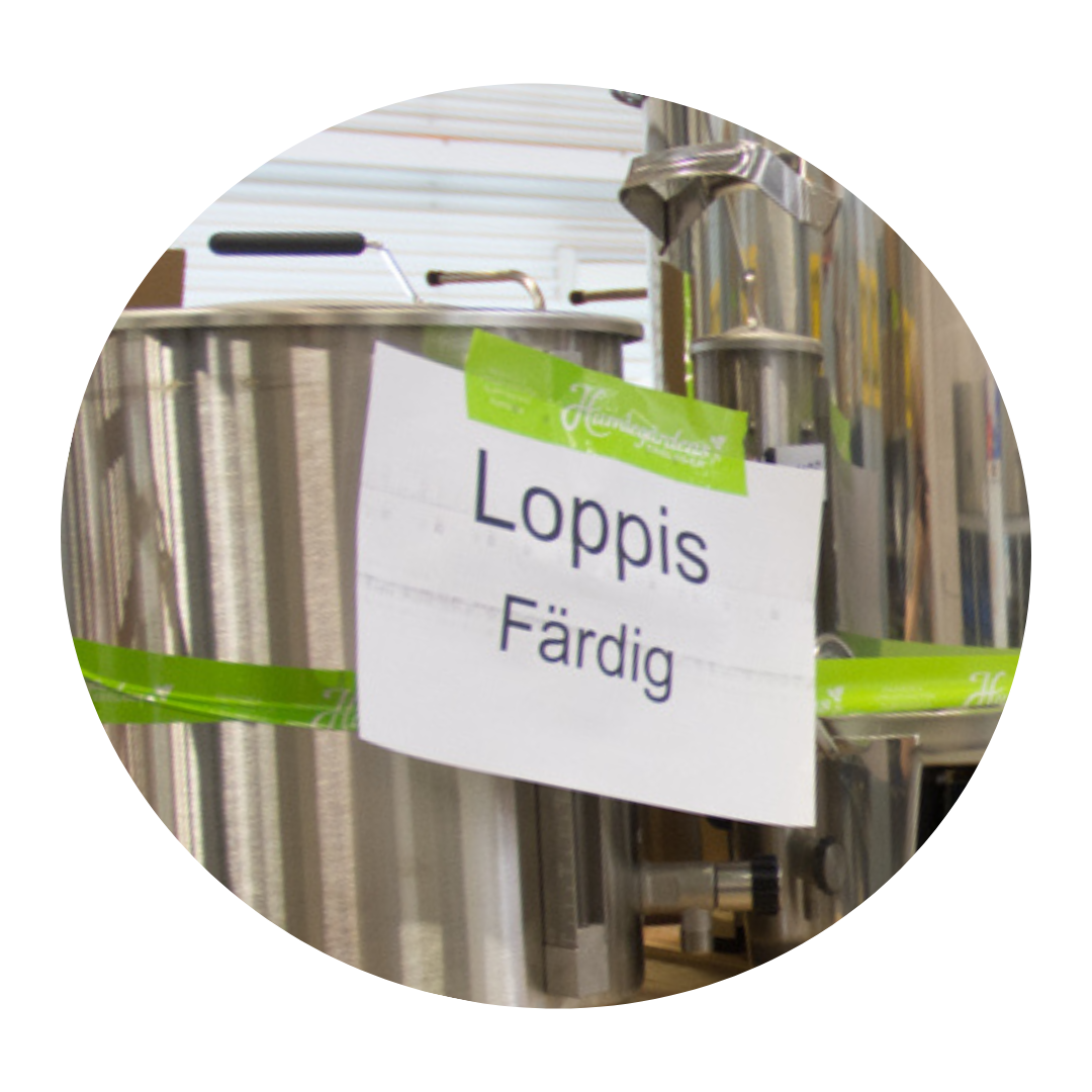 Hembryggarloppis med SHBF