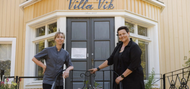 Villa Vik