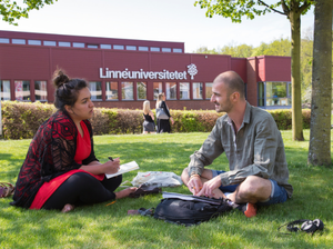 Mentor via LNU